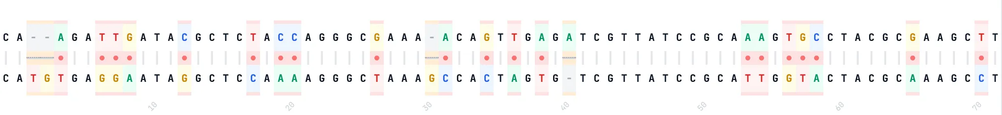 Two strings of DNA, one on top of the other. Differences are highlighted.
